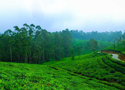 Munnar