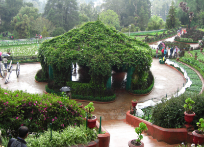 Ooty